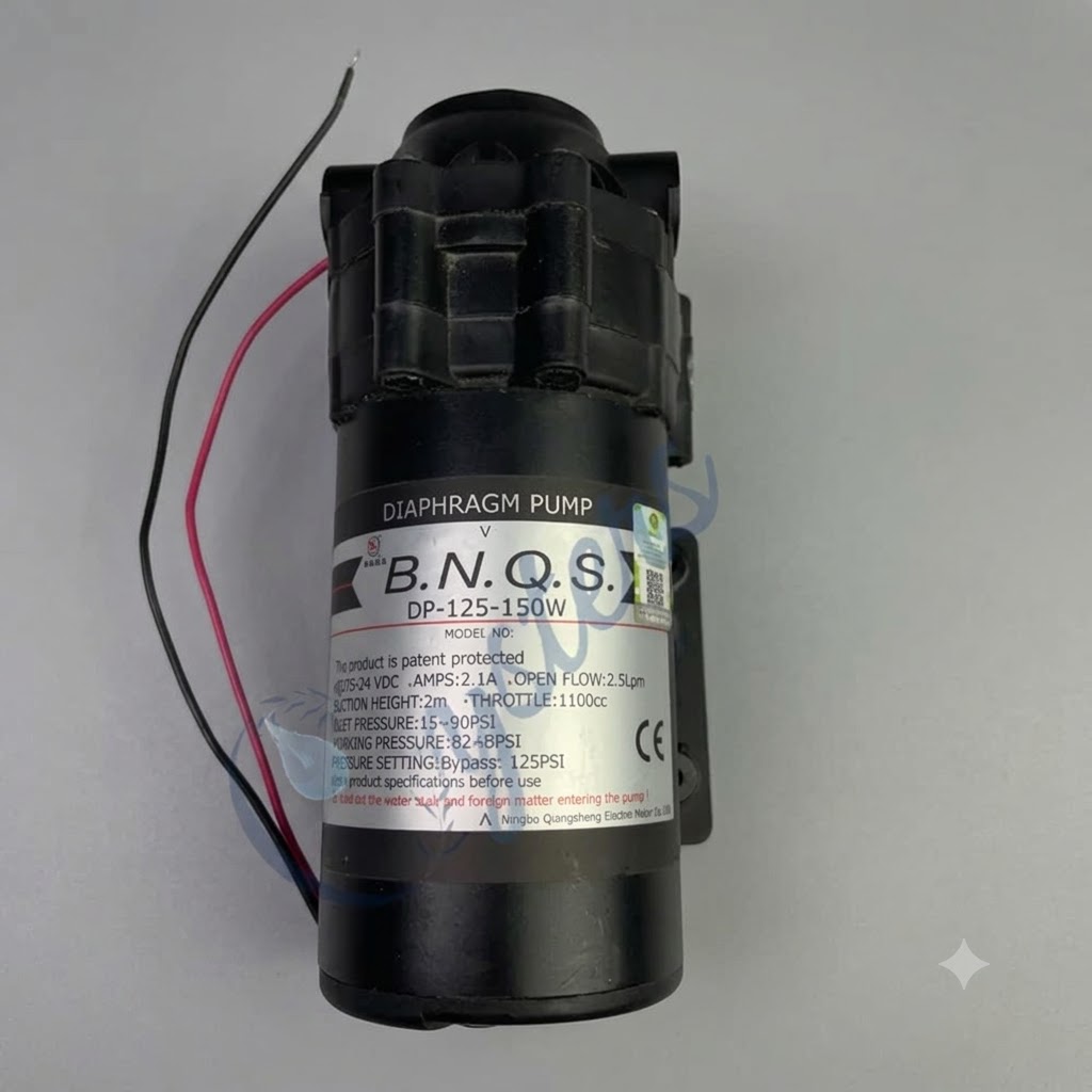 BNQS 300 GPD RO Booster Pump